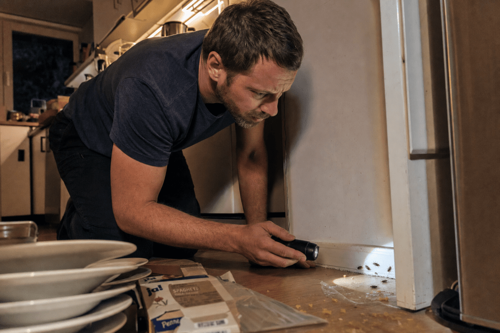 Hoe herken je de eerste tekenen van een kakkerlakkenplaag in huis en welke stappen kun je direct nemen om ze effectief te&nbsp;bestrijden?